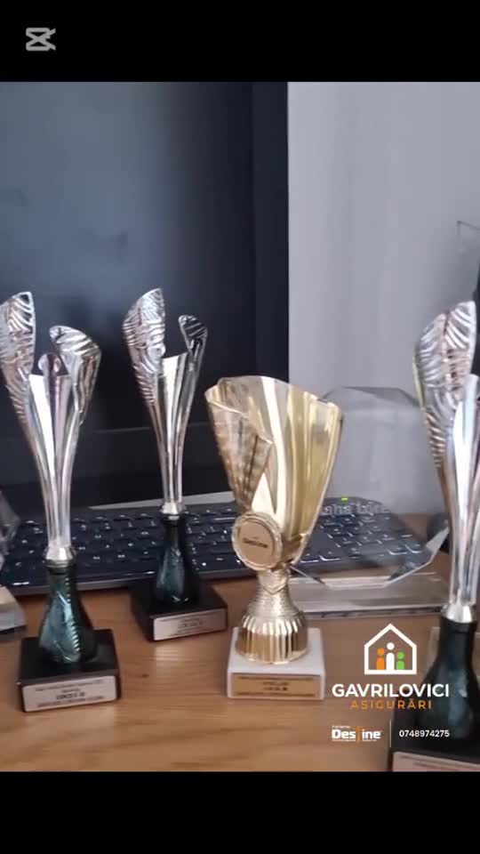 #GavriloviciAsig
