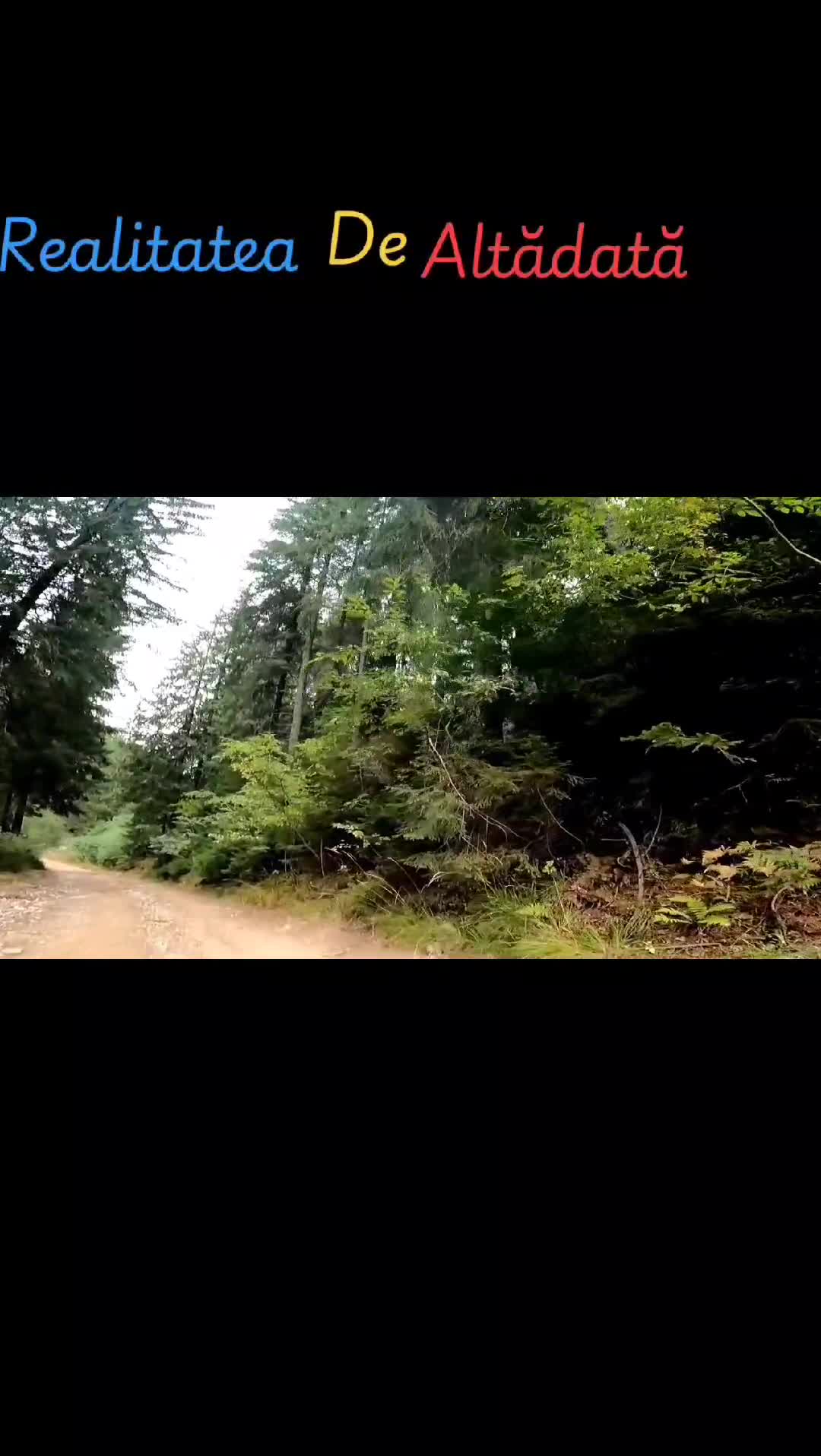 Video de @FLRica06