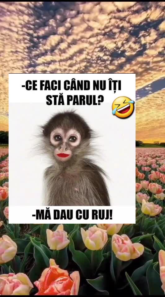 🇷🇴🤪🇷🇴#🇷🇴🤣🤣