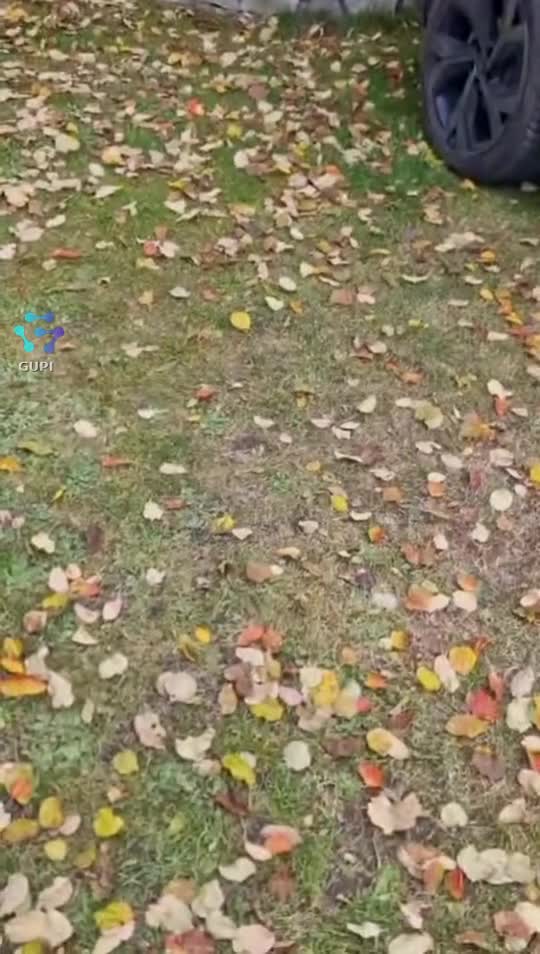 #🦋💙