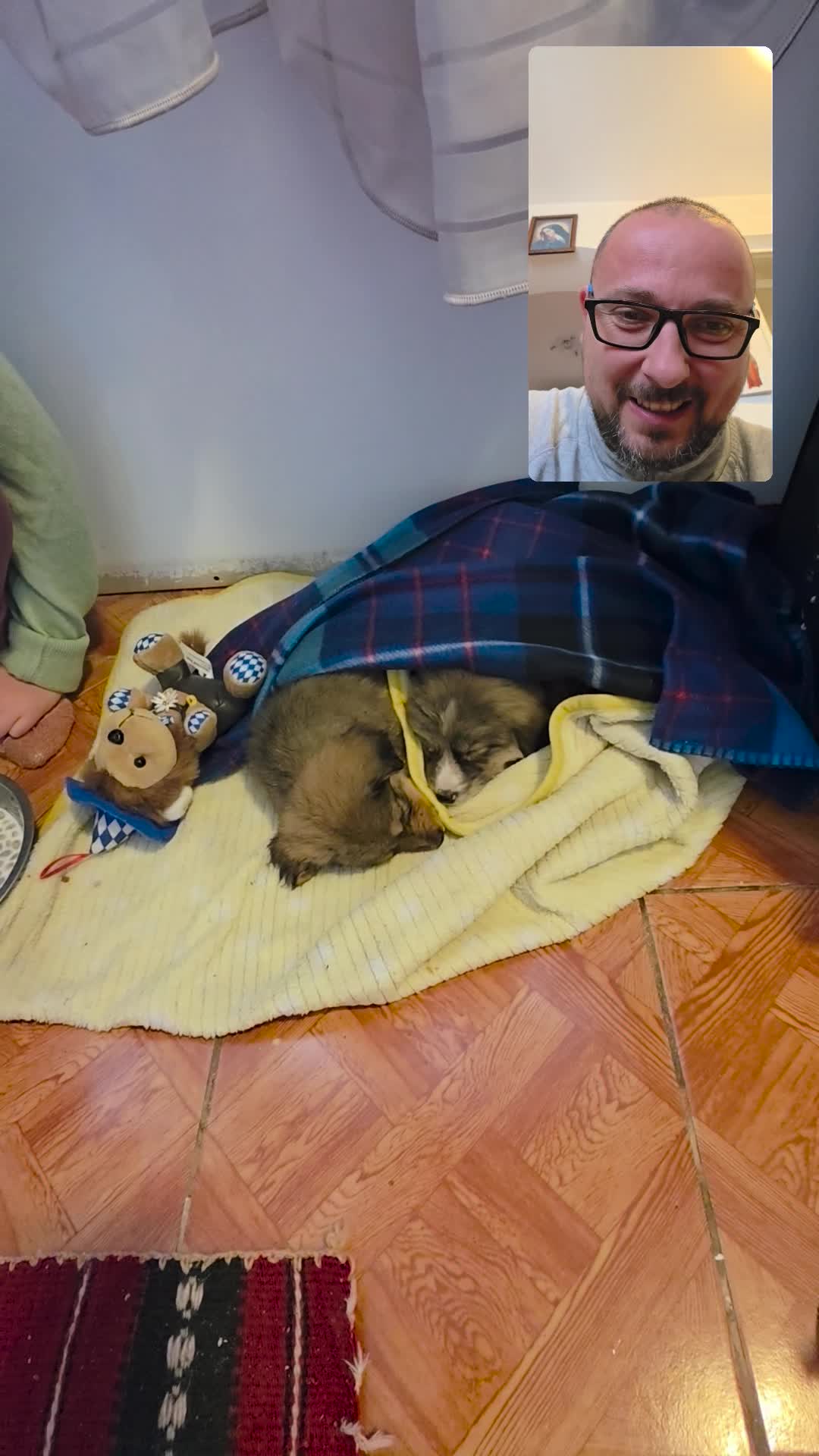 Video de @gupiuser1073511