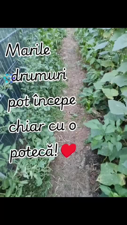 Video de @gupiuser432493