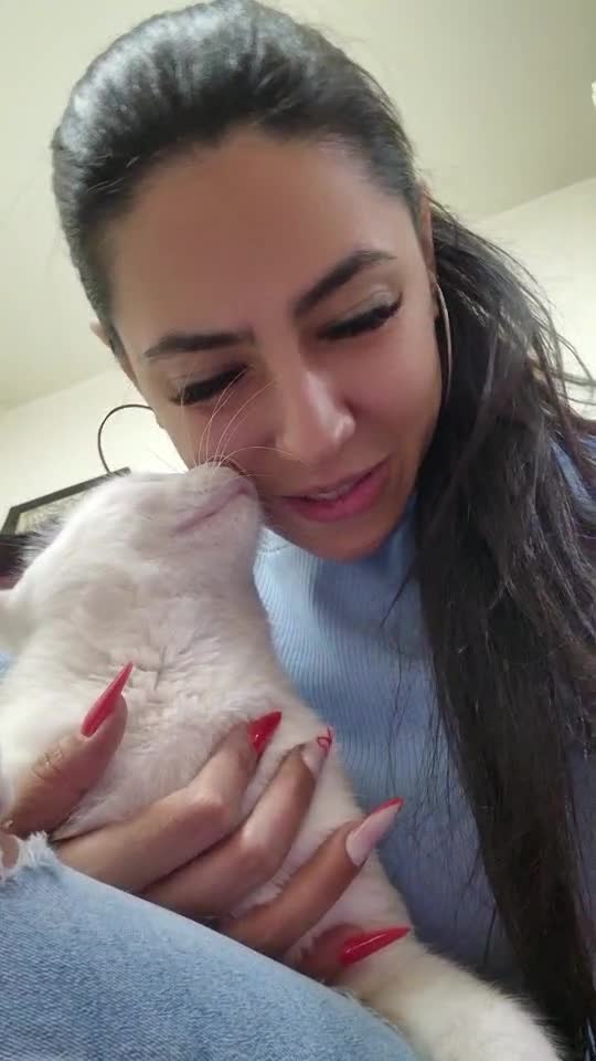Tu ce animal de companie ai? ☺️🥰