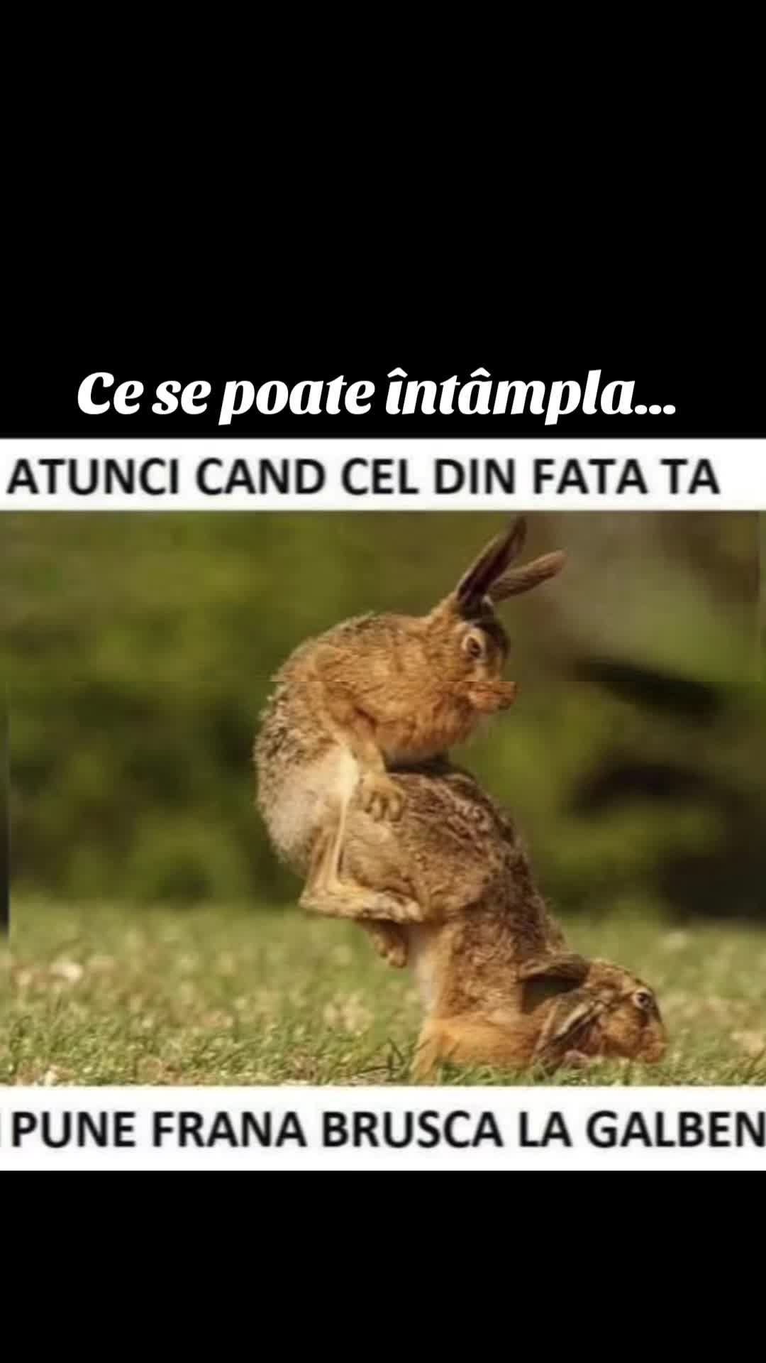 fyp😂