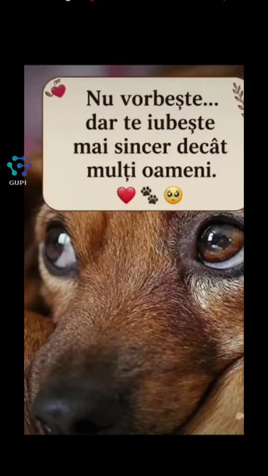 Video de @🌷🌷🌷SENA❤️❤️
