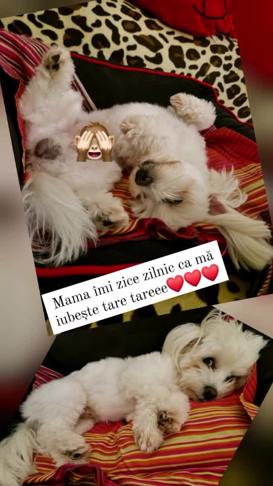 Weekend plăcut sa aveti❤️❤️
