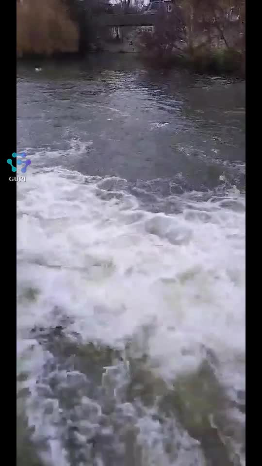 Video de @cipri1980