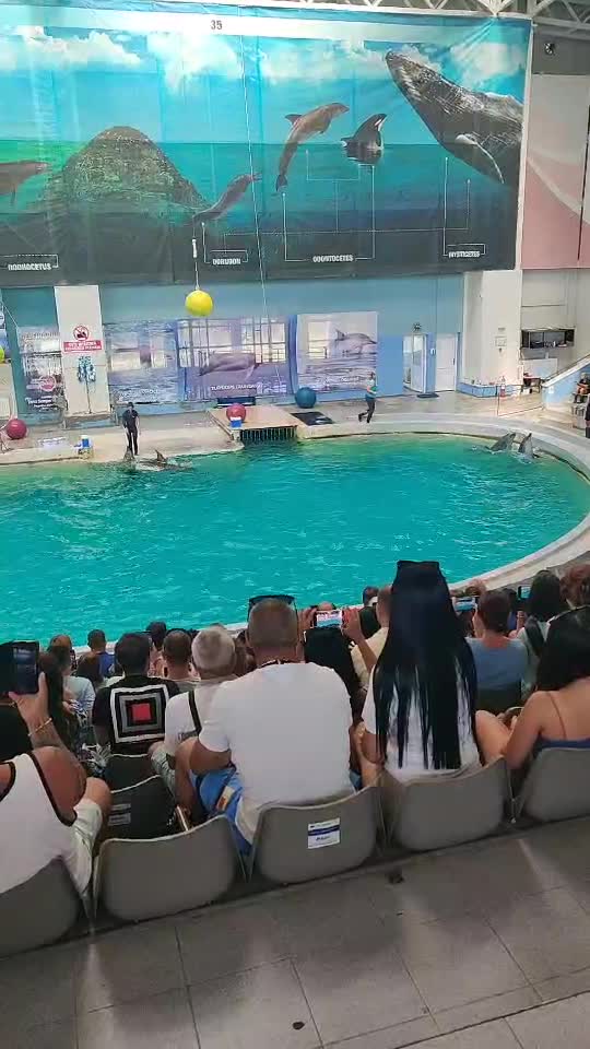 DELFINARIU Din Constanța🐬🐬   ța