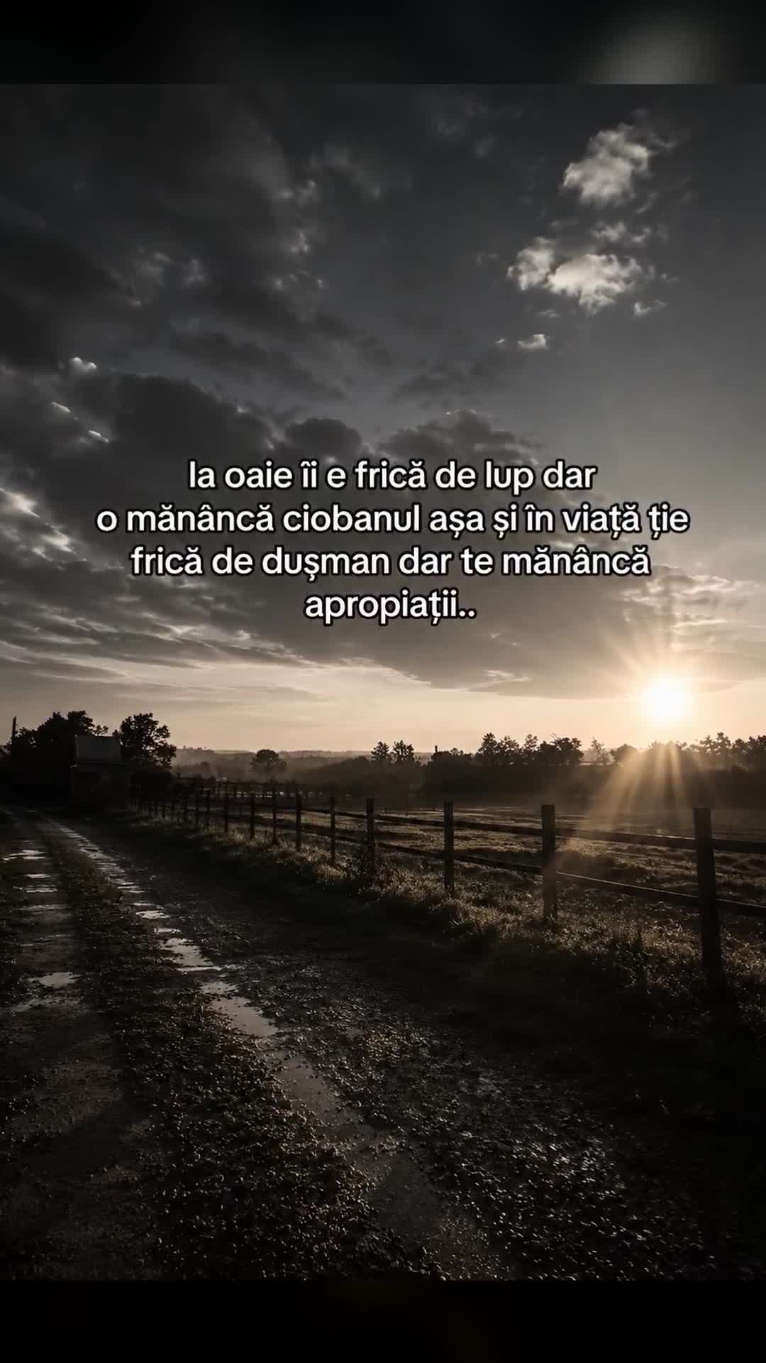 Video de @gupiuser145902