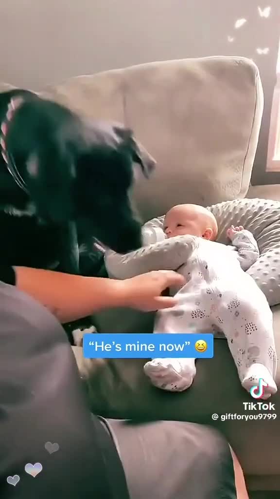 #dog