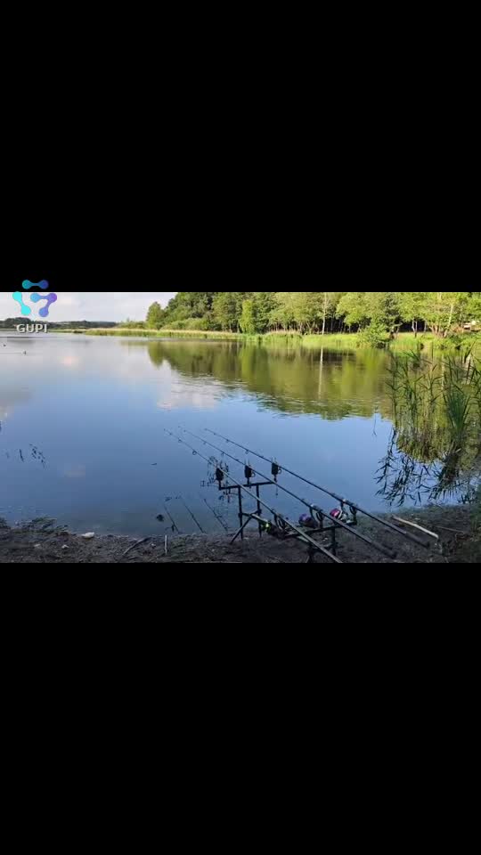 Video de @gupiuser720627