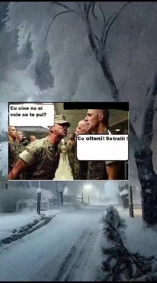🇷🇴🤪🇷🇴#🇷🇴🤣🤣
