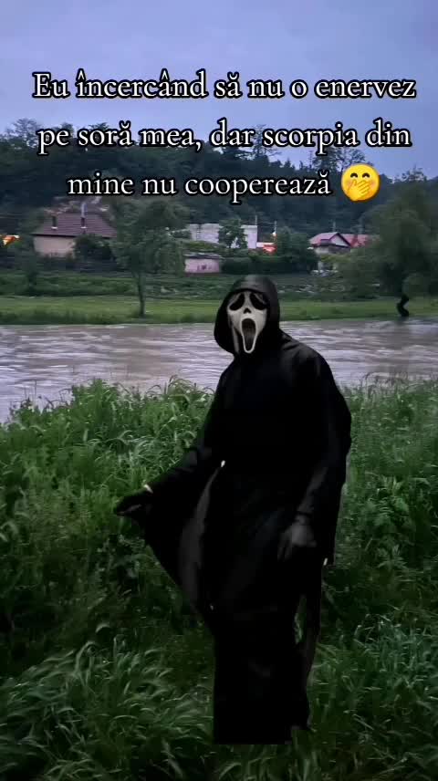 🤣🤣🤣