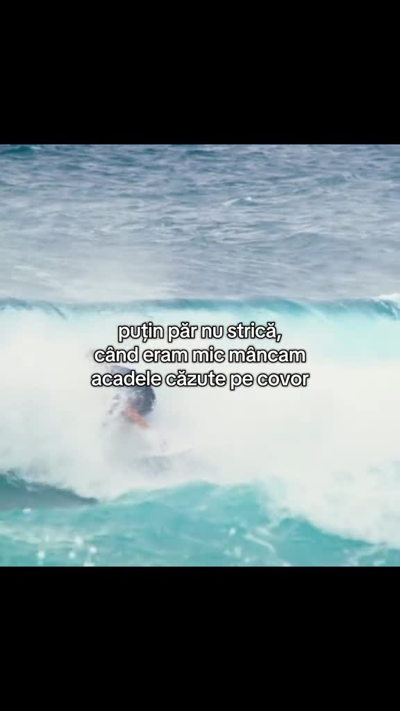 Video de @marsupilami