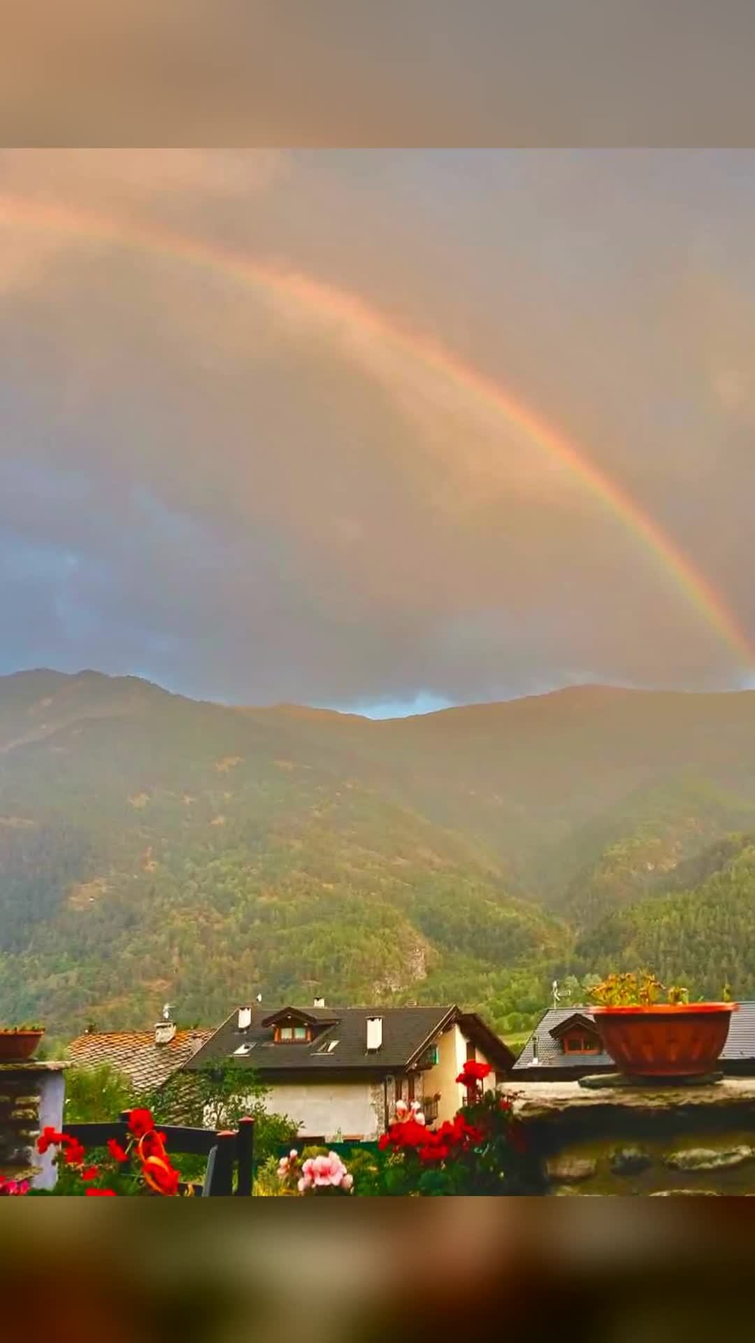Video de @gupiuser876530