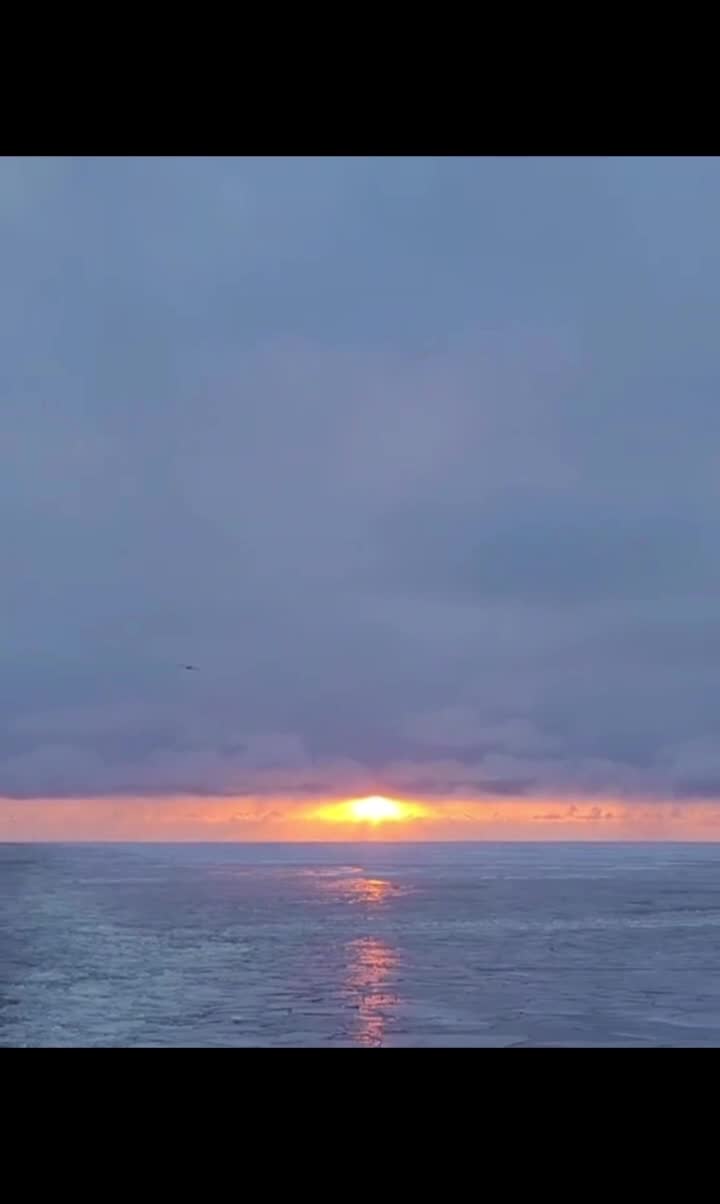 # 🦋 🌊🚢
