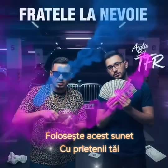 TFR-Fratele la nevoie
(Muzică și Text By TFR)