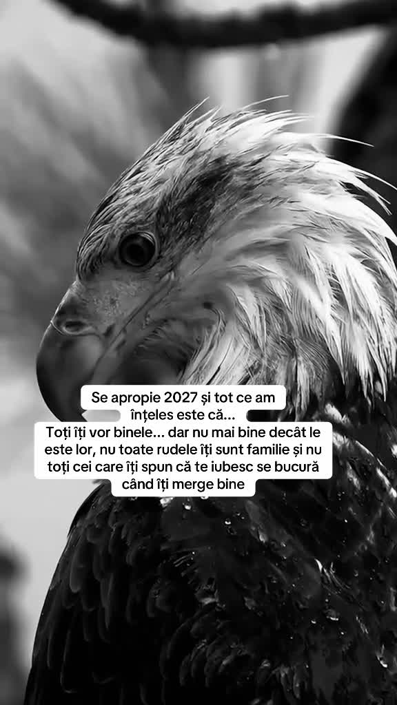 Video de @gupiuser147071