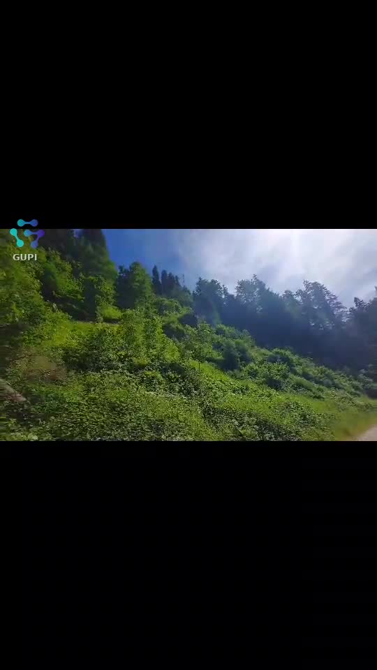 Video de @FLRica06