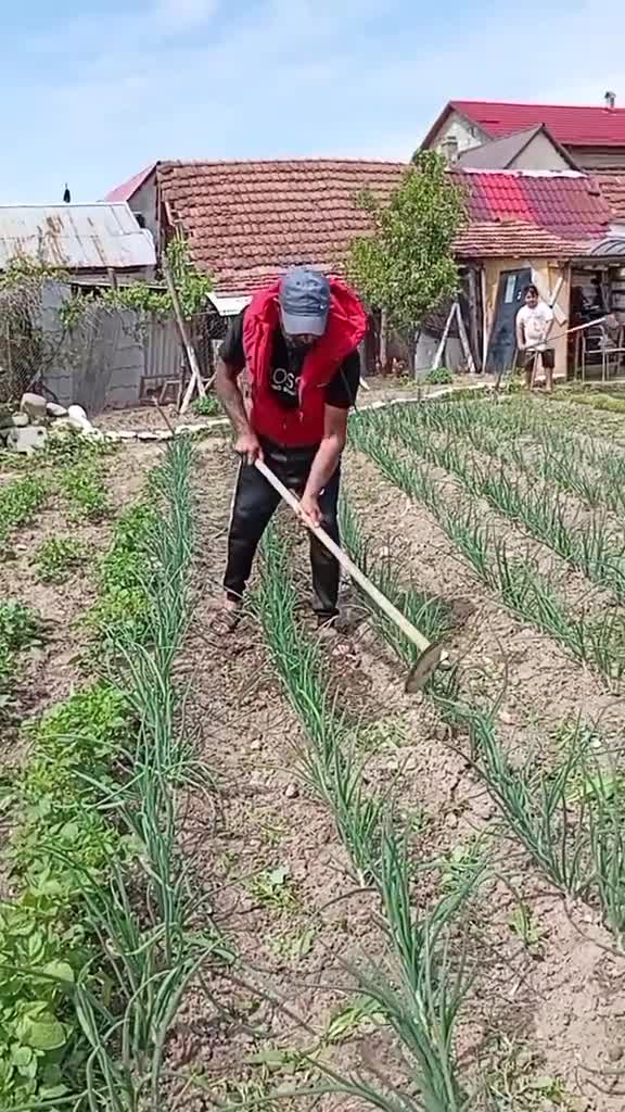 Video de @gupiuser1045554