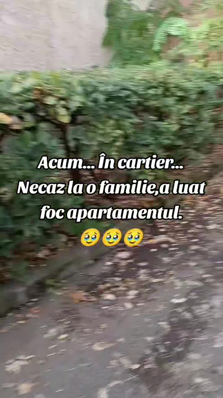 Video de @gupiuser144503