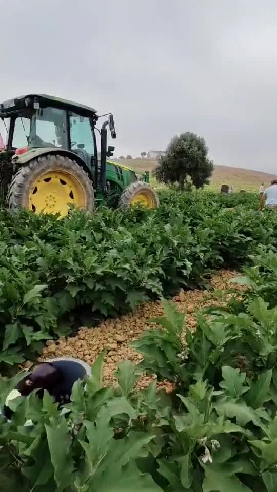 # agricultura