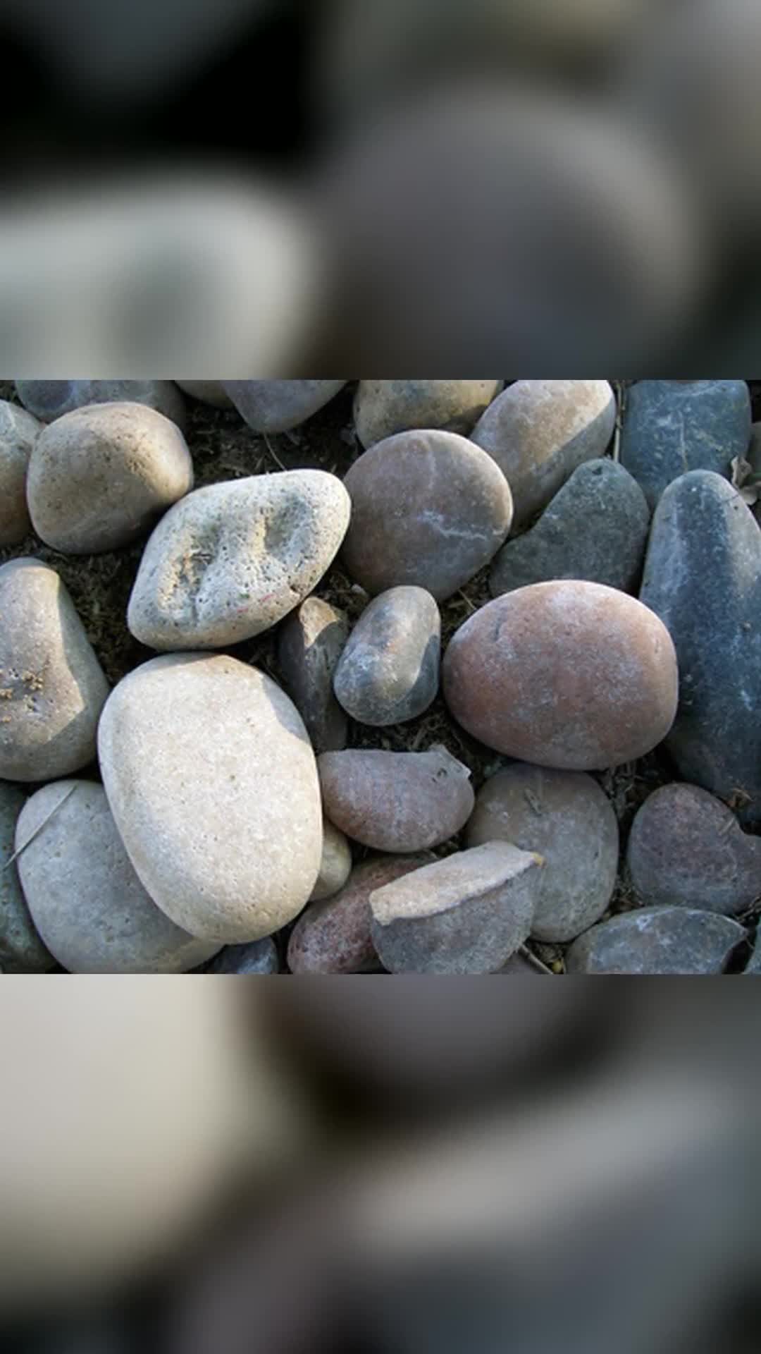 Video de @gupiuser838946