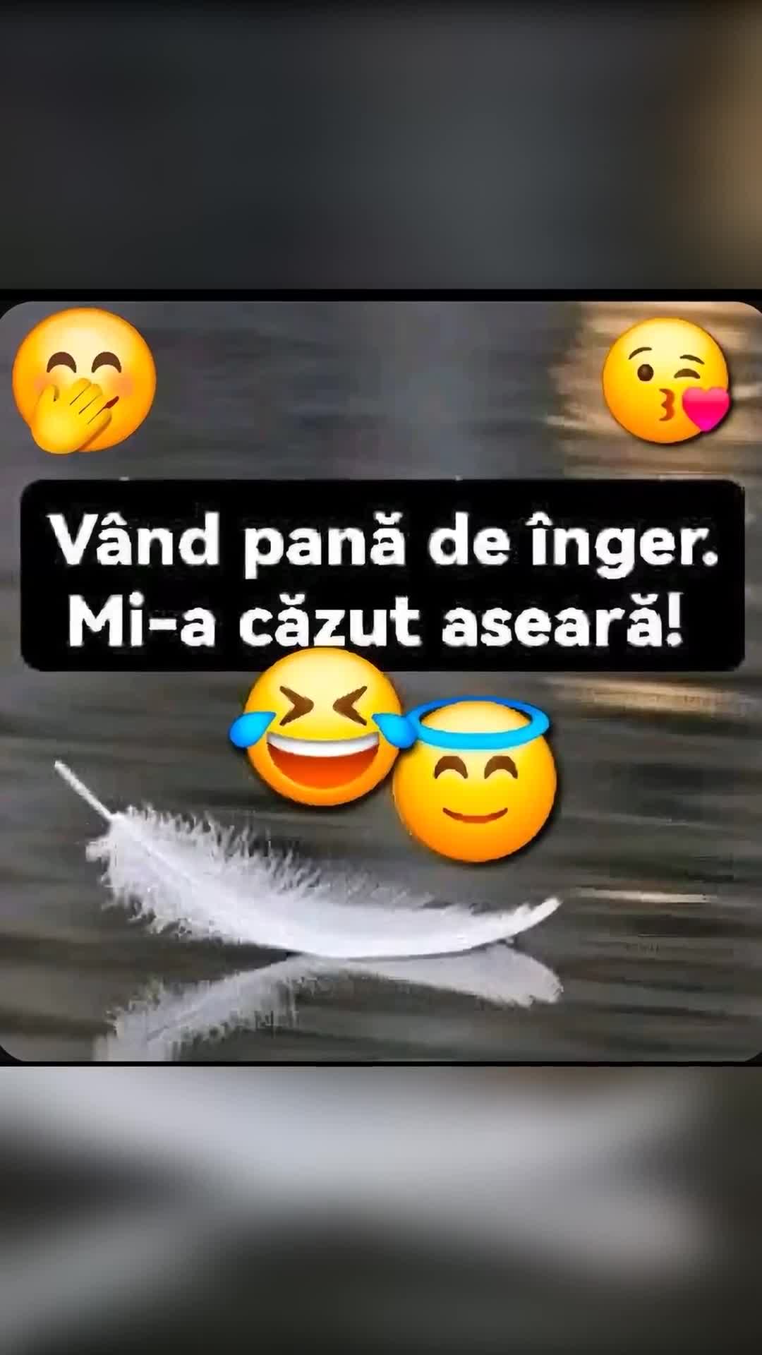 Video de @gupiuser797731