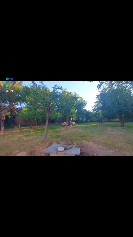 Video de @FLRica06