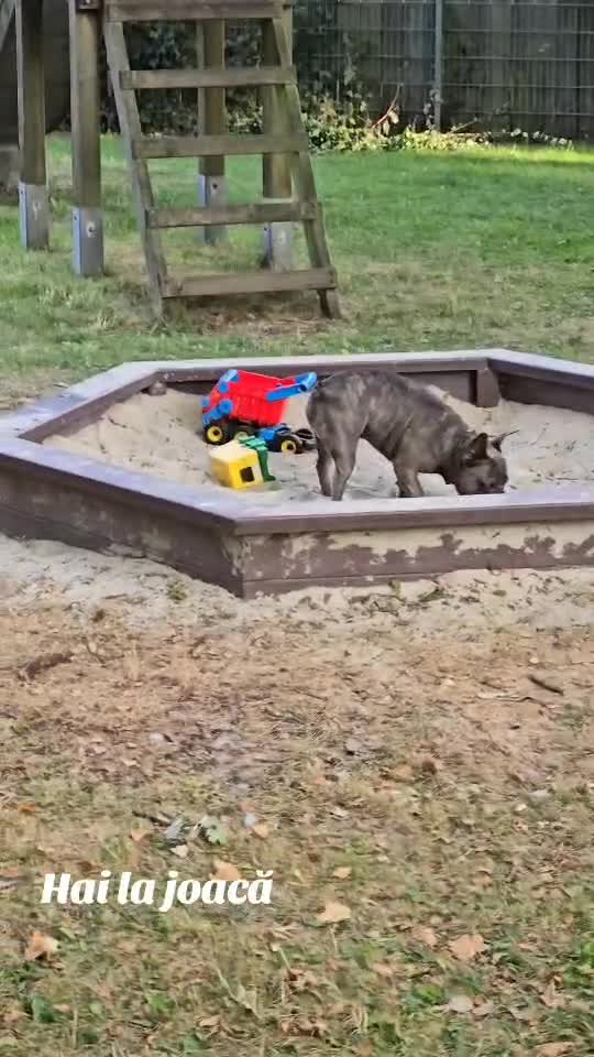 #gupy
