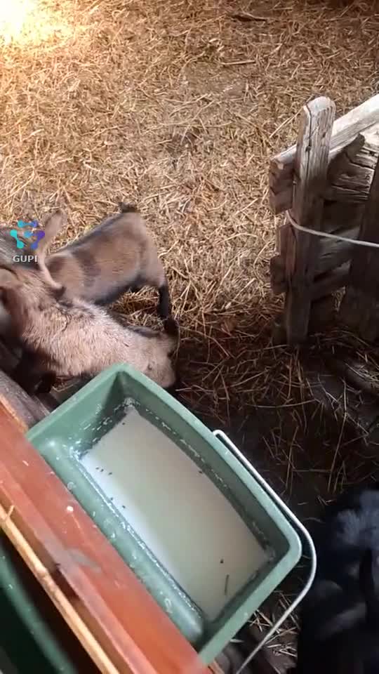 Goatson