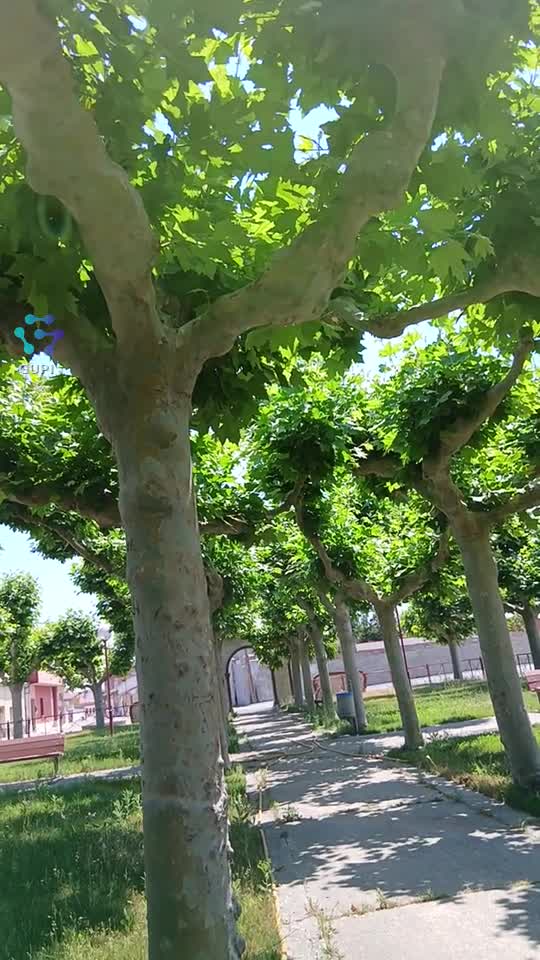 Video de @gupiuser336472
