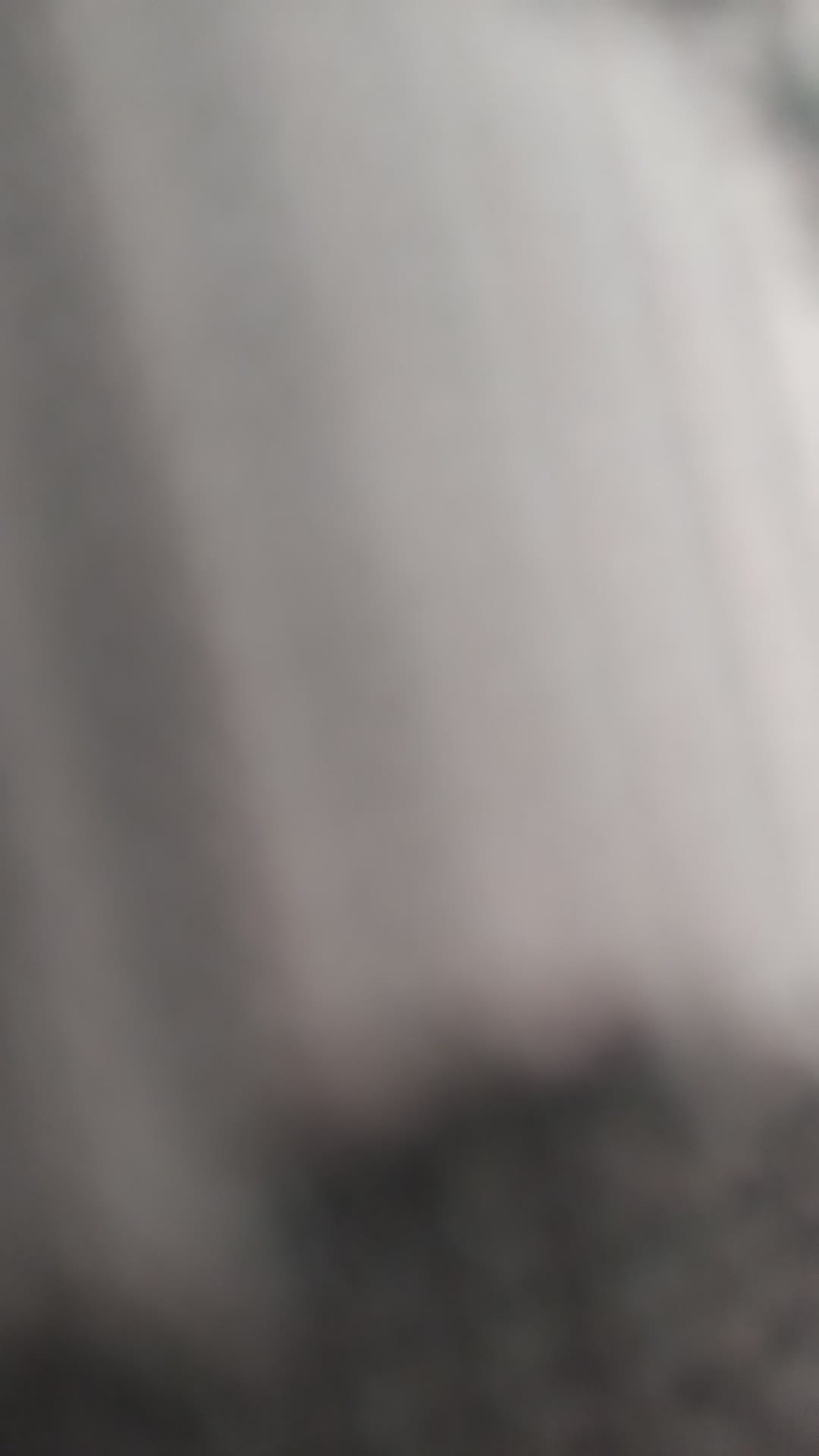 Video de @gupiuser156590
