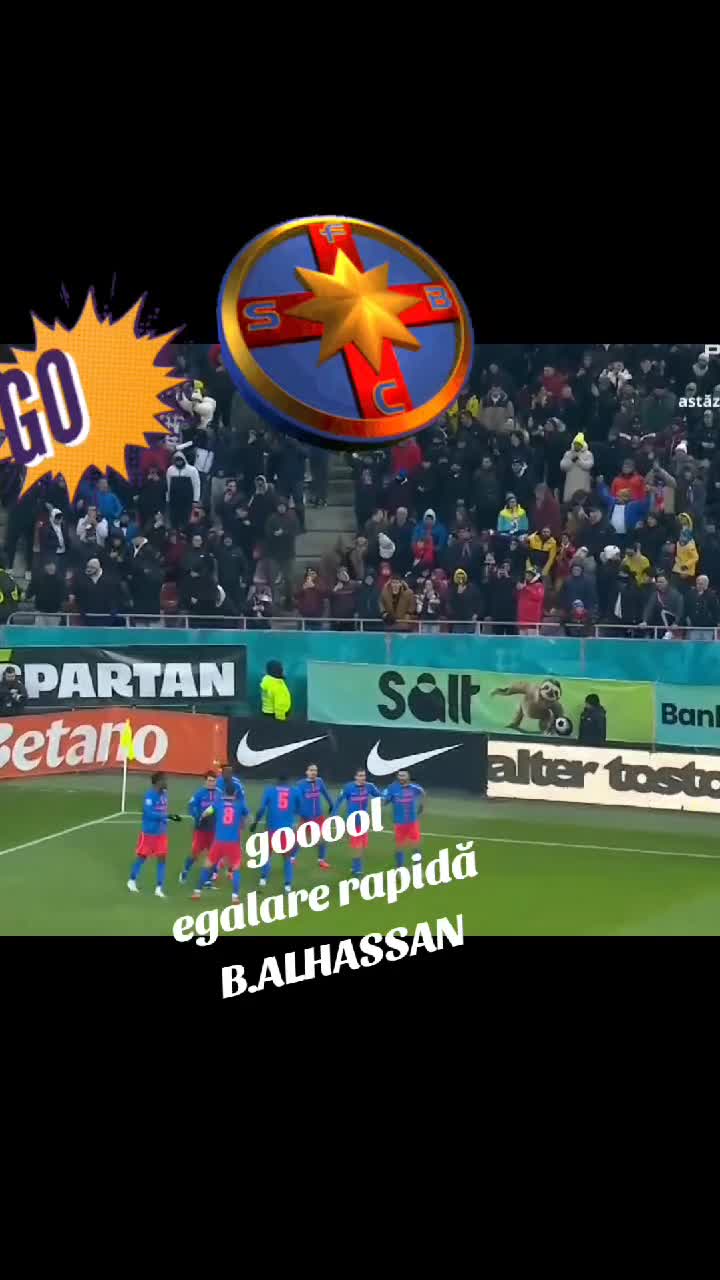 Gool FcSb egalare rapida
 ânia