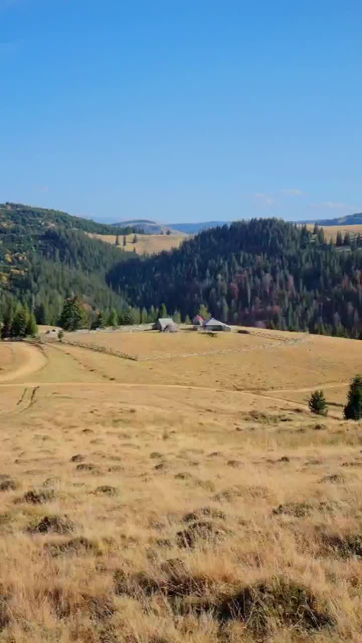 #Transilvania