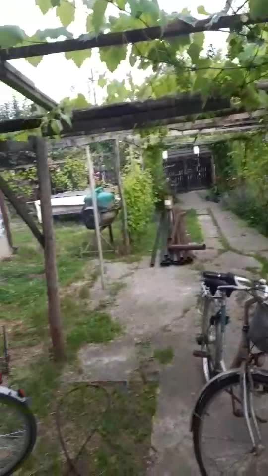 ca la tara ..frumos ...tataie mare bagabont ..umbla cu doua si cand vine a 3 ami zice sai zic ca nu e acasa ...viata..