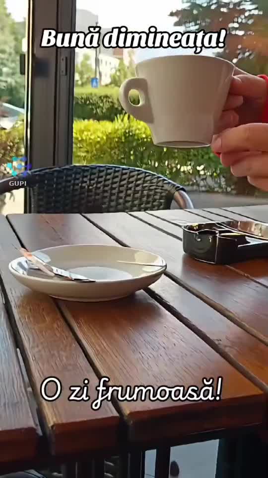 Video de @gupiuser144503