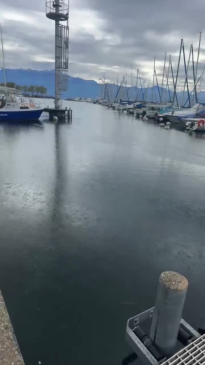 Video de @🇨🇭Vasile1805🇧🇪
