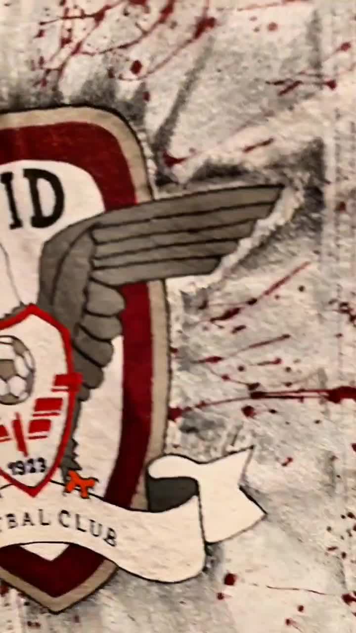 Fii și tu iarna asta pe val cu o geacă pictată manual "Rapid București"
