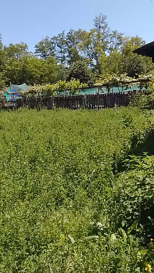 Viața la țară 2