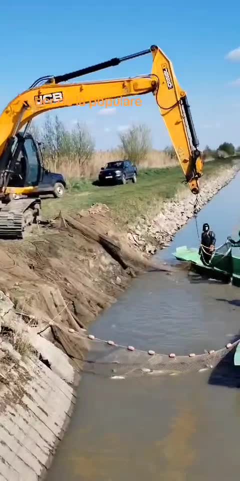 Repere de la încărcare/populare. Balta Otvești, Timiș