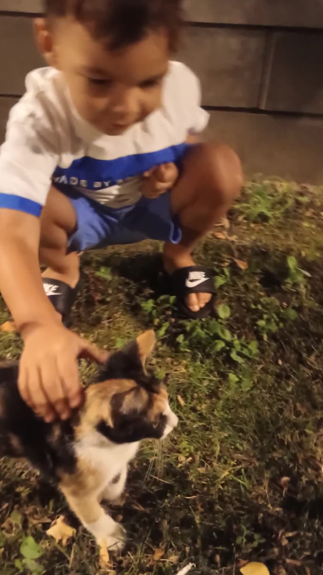Video de @gupiuser302875