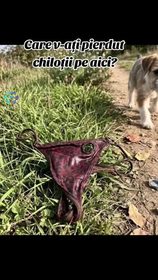 care v-ați pierdut chiloții?...😂😂😂