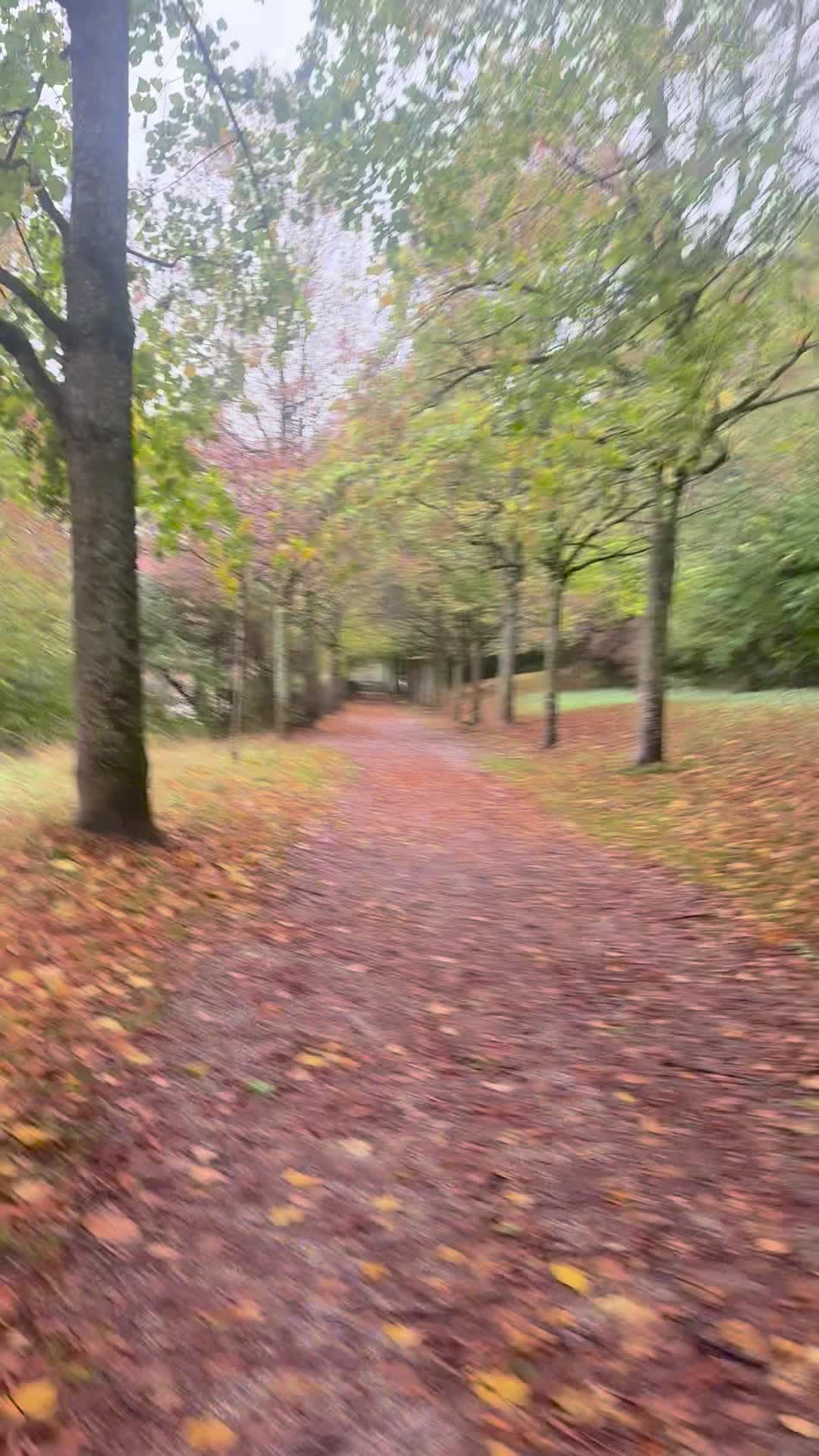 Video de @🇨🇭Vasile1805🇧🇪