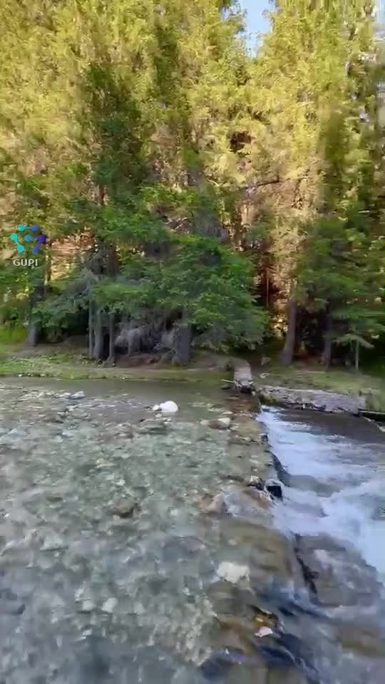 Video de @gupiuser115844
