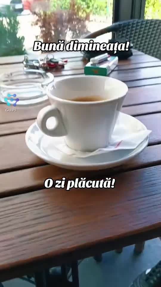 Video de @gupiuser144503