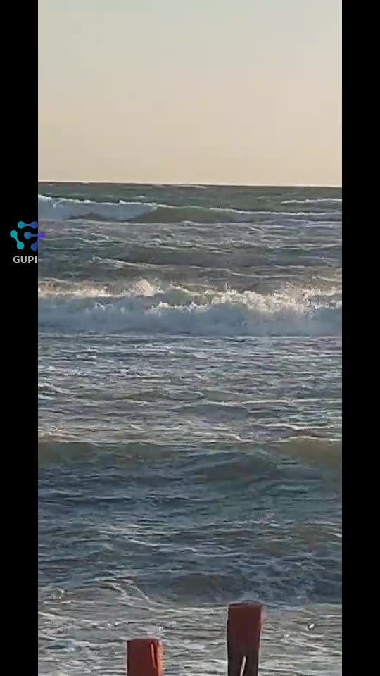Video de @gupiuser360067
