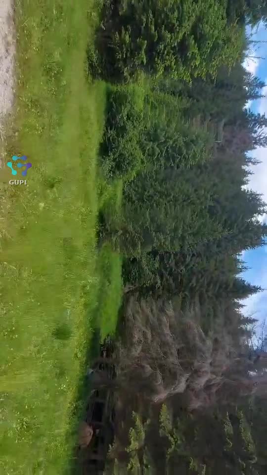 Video de @FLRica06