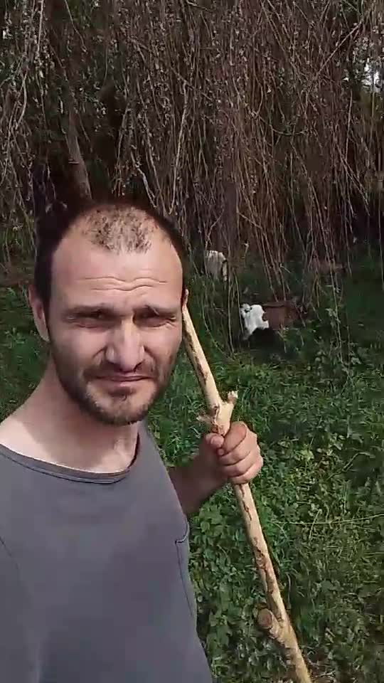 la păscut