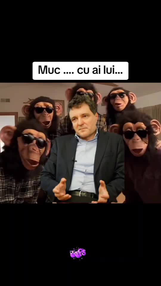 Original Sound - Bojenca Bogdan